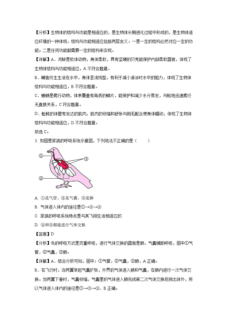 2023-2024学年山东省临沂市兰陵县八年级(上)期中生物试卷(解析版)第2页