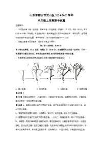2024-2025学年山东省临沂市兰山区八年级(上)期中生物试卷(解析版)