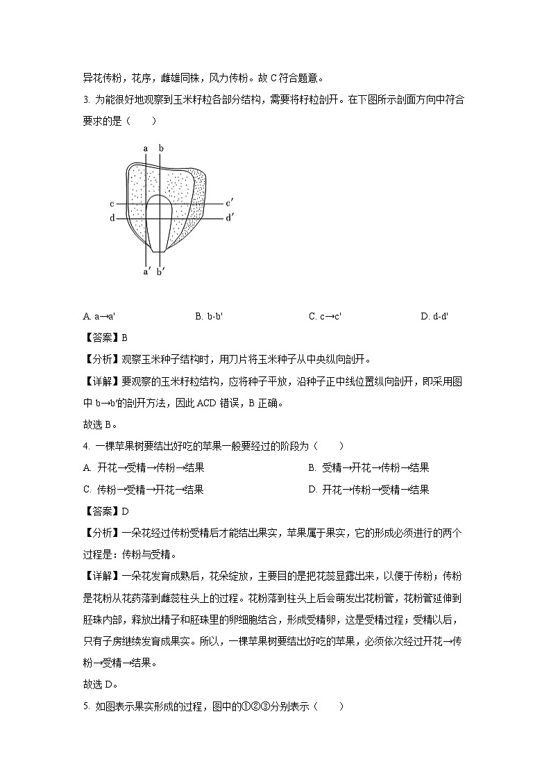 2023-2024学年山东省济宁市嘉祥县八年级(上)期中学业水平测试生物试卷(解析版)第2页