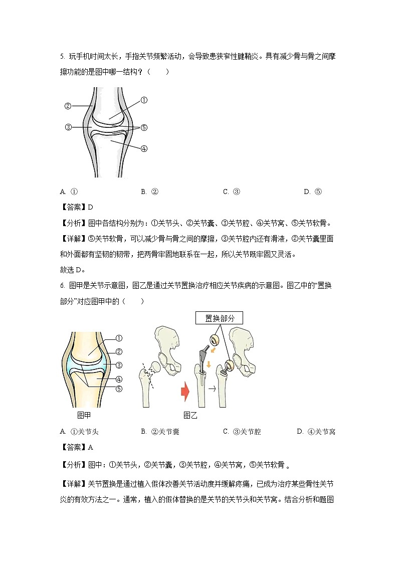 2024-2025学年山东省日照市岚山区八年级(上)10月月考生物试卷(解析版)第3页