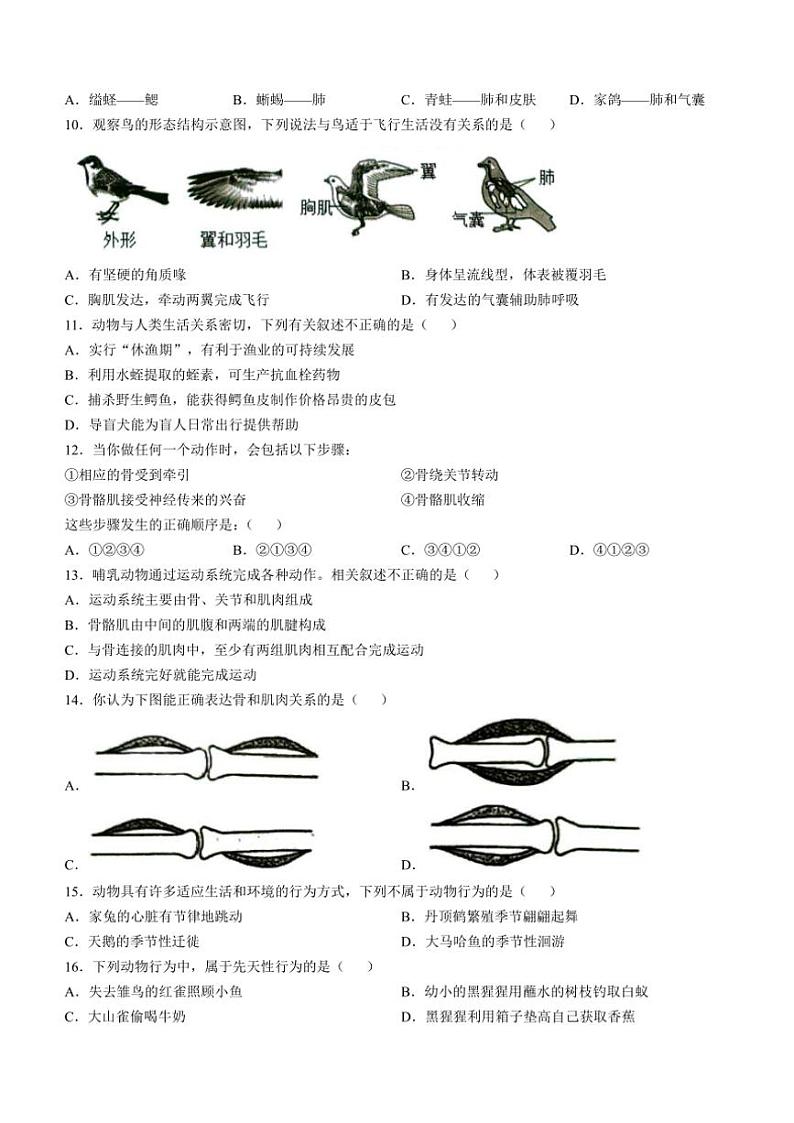 安徽省安庆市怀宁县2024~2025学年八年级(上)期中生物试卷(含答案)02