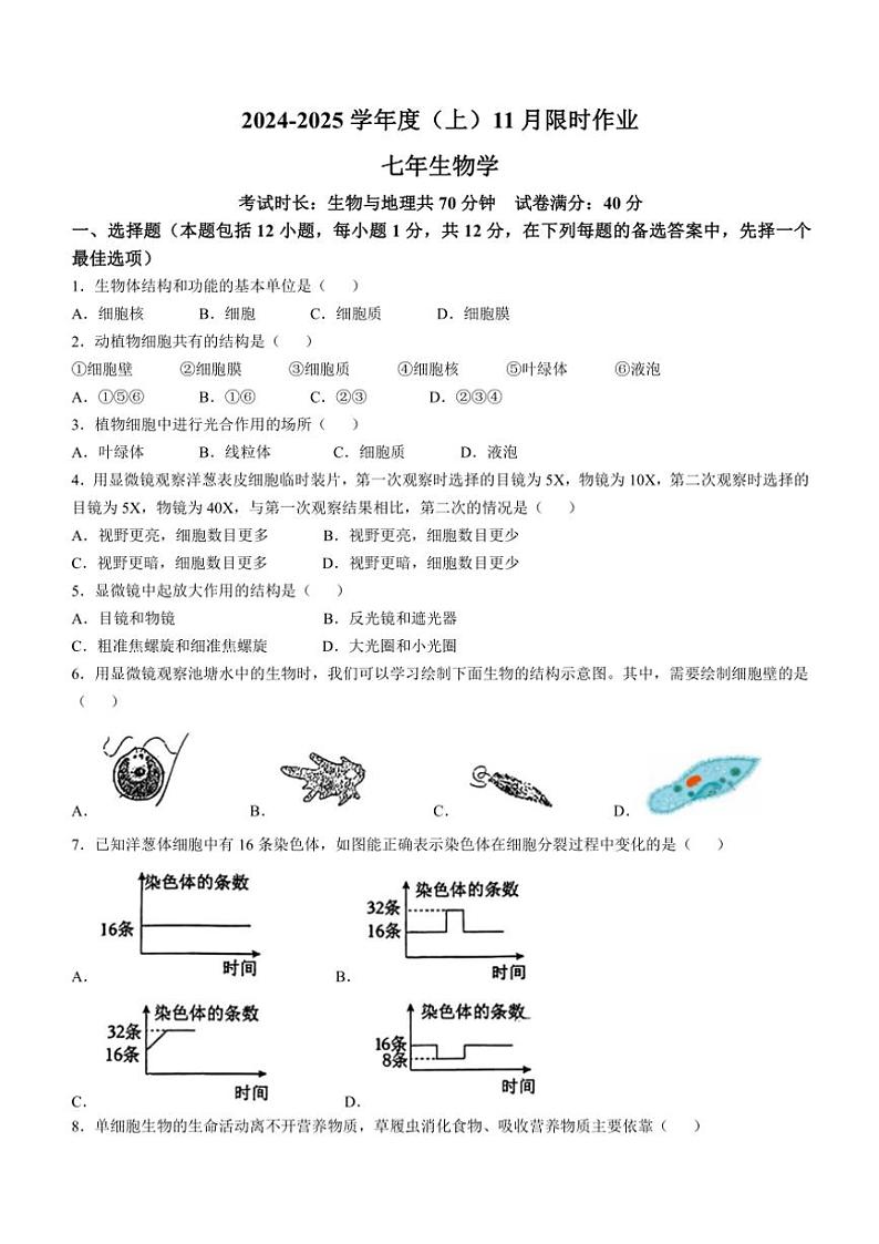 辽宁省鞍山市高新区2024~2025学年七年级(上)11月月考生物试卷(含答案)第1页