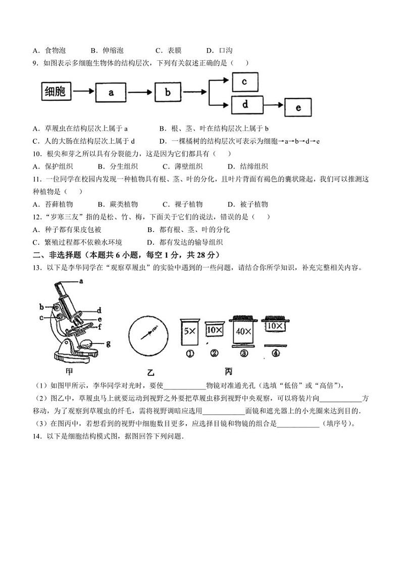 辽宁省鞍山市高新区2024~2025学年七年级(上)11月月考生物试卷(含答案)第2页