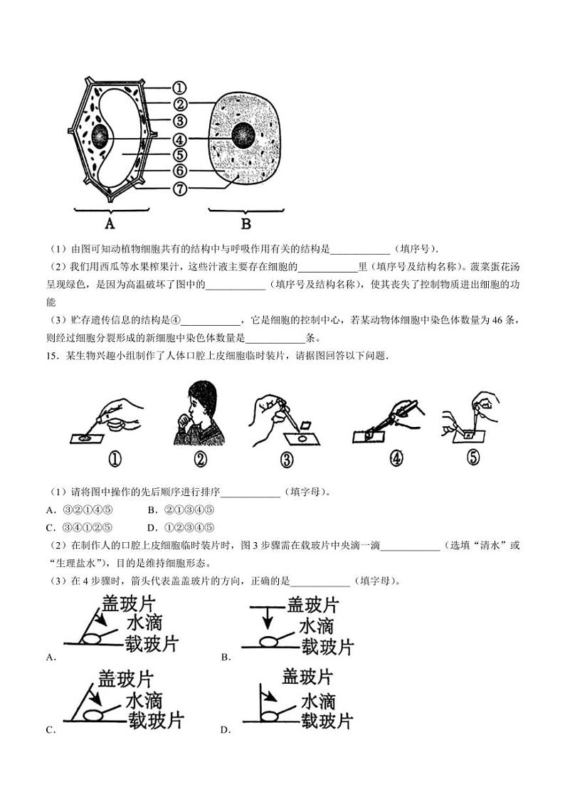 辽宁省鞍山市高新区2024~2025学年七年级(上)11月月考生物试卷(含答案)第3页