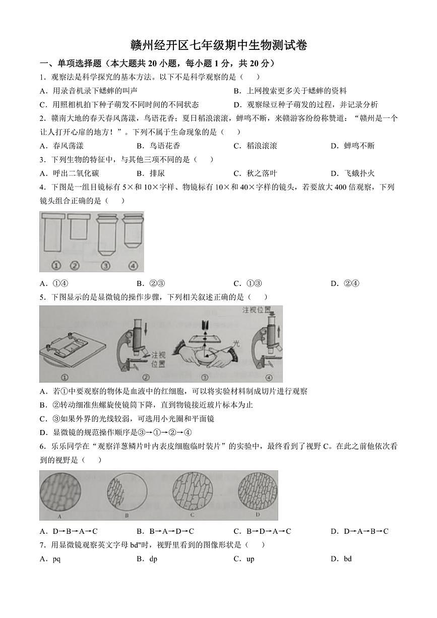 江西省赣州市经开区2024~2025学年七年级(上)期中生物试卷(含答案)第1页