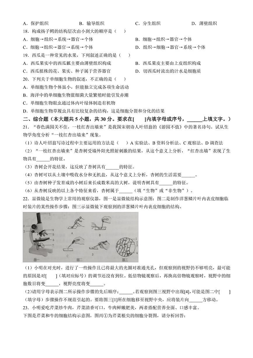 江西省赣州市经开区2024~2025学年七年级(上)期中生物试卷(含答案)第3页
