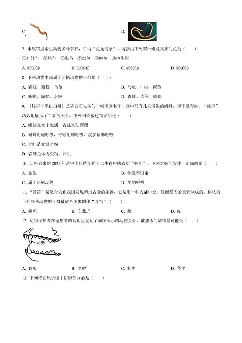 河北省保定市满城区2024~2025学年八年级(上)期中生物试卷(含答案)第2页