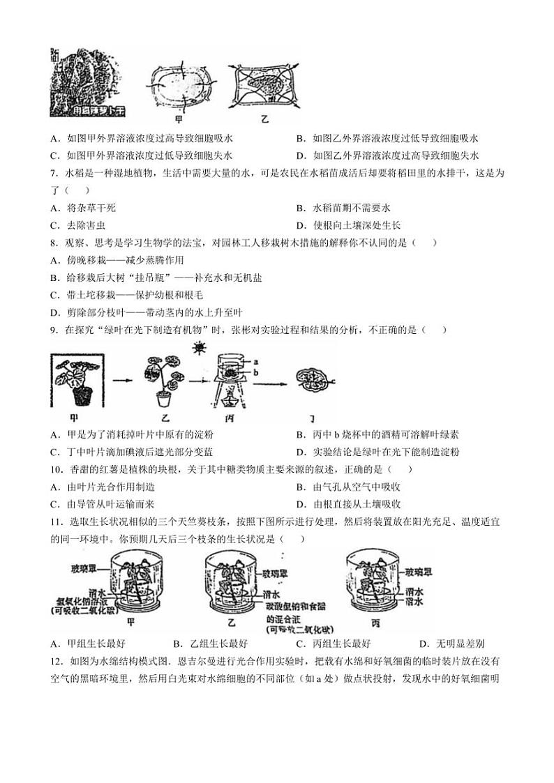 河北省承德市兴隆县2024~2025学年八年级(上)期中生物试卷(含答案)第2页