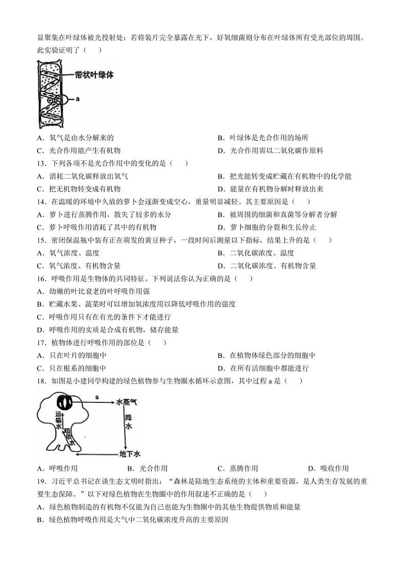 河北省承德市兴隆县2024~2025学年八年级(上)期中生物试卷(含答案)第3页