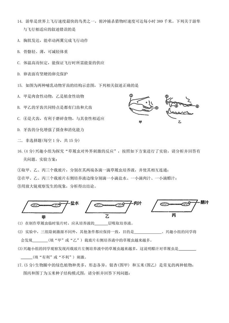 吉林省长春市力旺实验初级中学2024~2025学年七年级(上)期中生物试卷(含答案)第3页