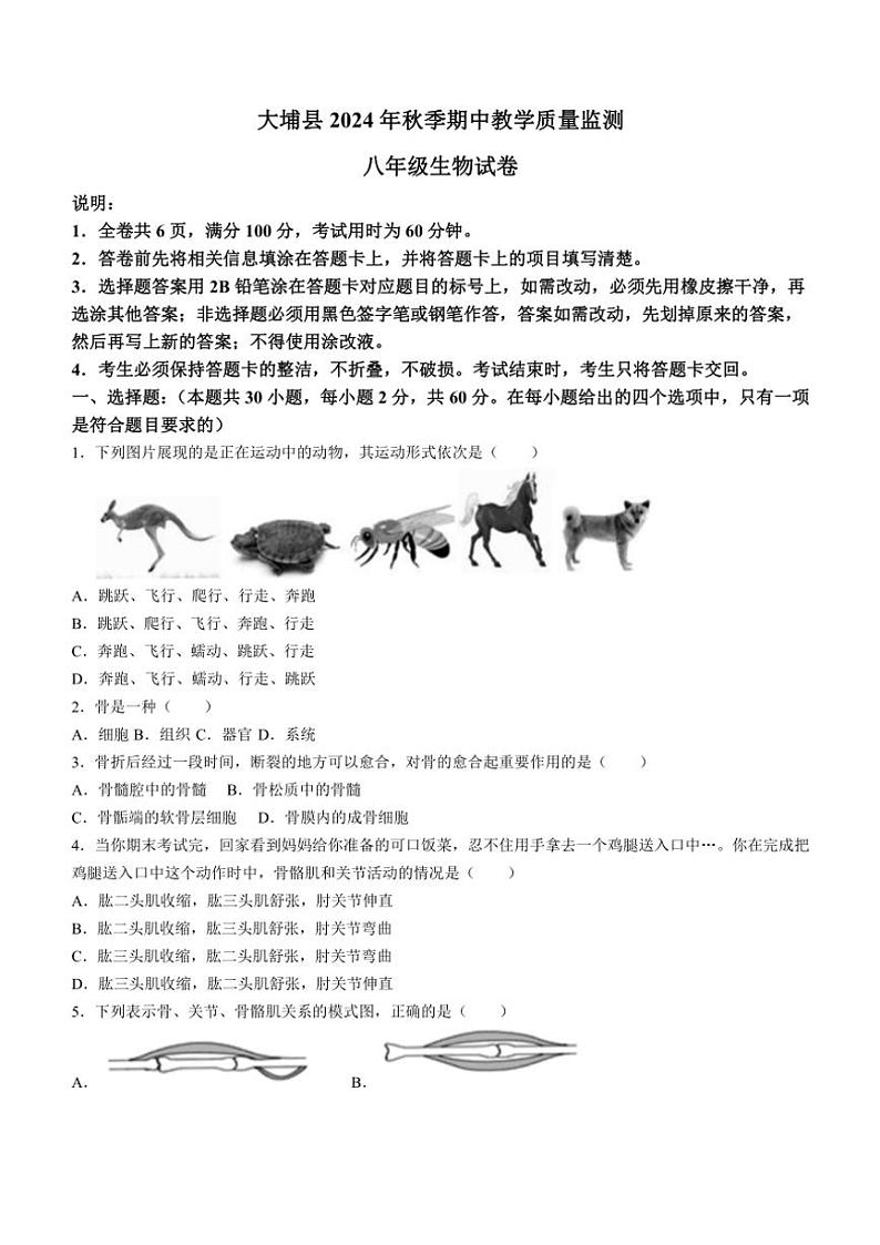 广东省梅州市大埔县2024~2025学年八年级(上)期中生物试卷(含答案)01