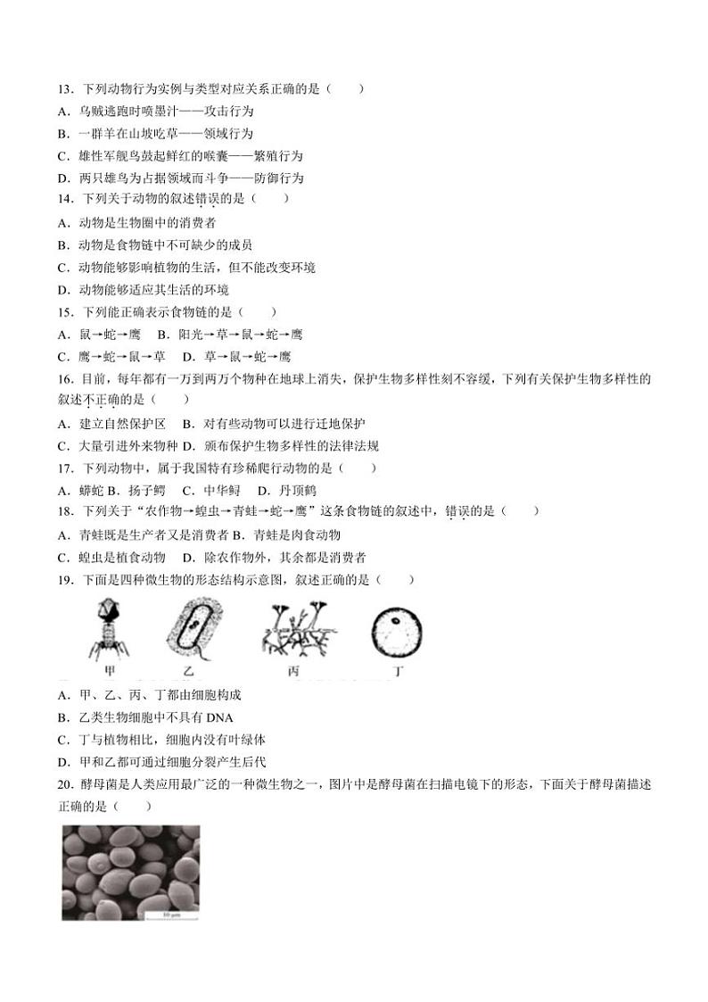 广东省梅州市大埔县2024~2025学年八年级(上)期中生物试卷(含答案)03