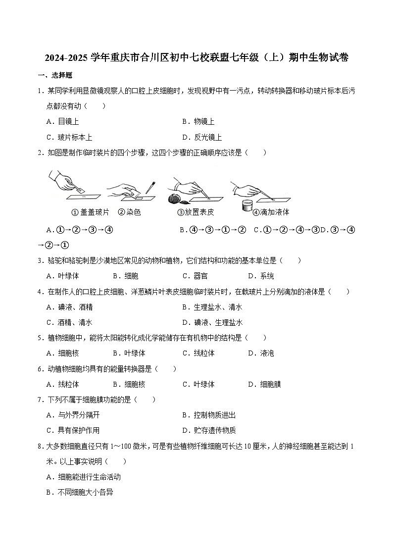 重庆市合川区初中七校联盟2024-2025学年七年级上学期期中考试生物试卷第1页