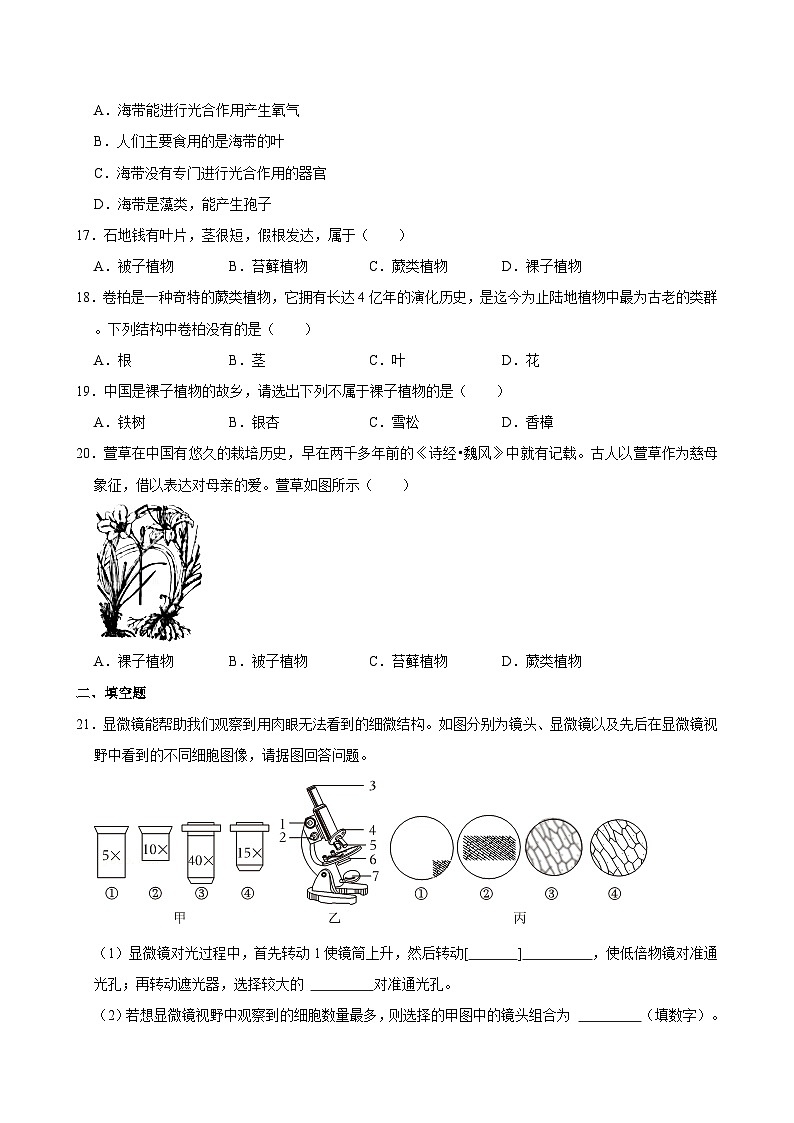 重庆市合川区初中七校联盟2024-2025学年七年级上学期期中考试生物试卷第3页