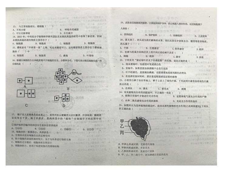 河北省廊坊市三河市第九中学2024-2025学年七年级上学期11月期中生物试题第2页