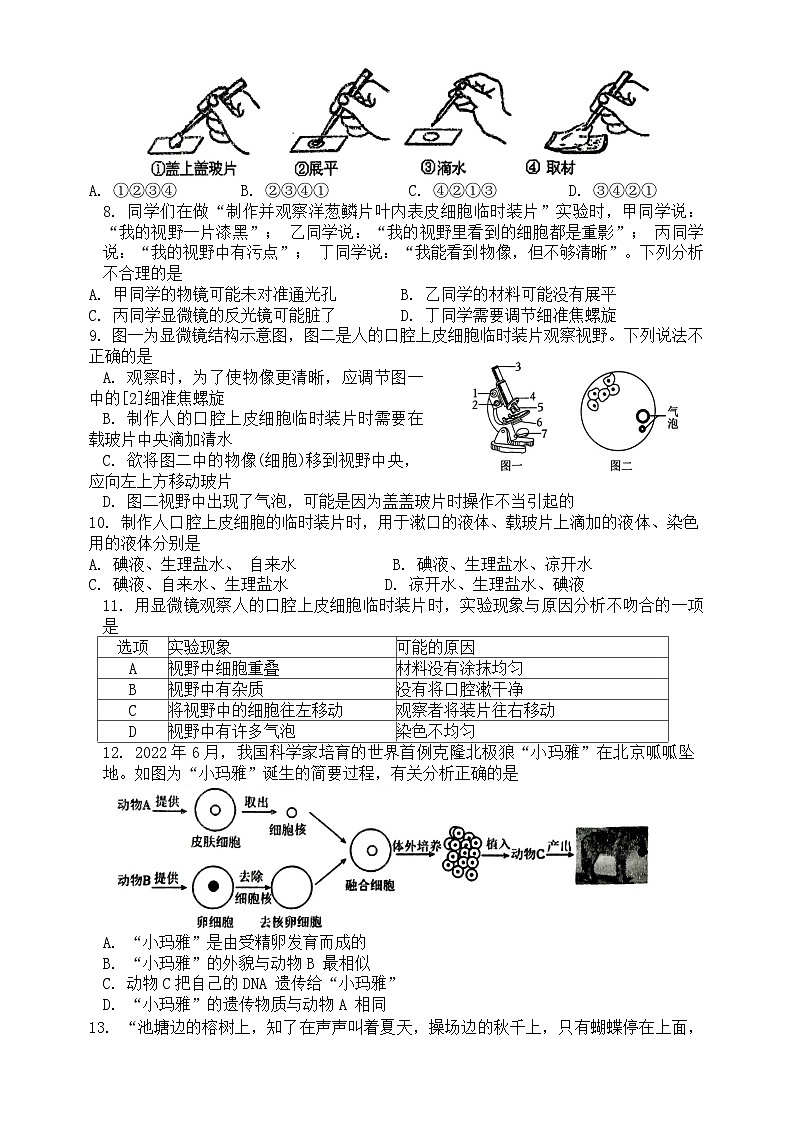 湖南省娄底市2024-2025学年七年级上学期11月期中生物试题第2页