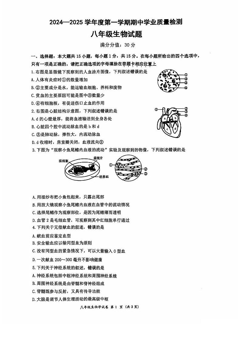 江苏省连云港市灌云县2024-2025学年八年级上学期11月期中生物试题第1页