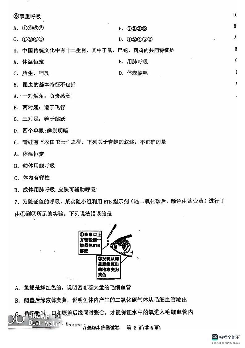 辽宁省丹东市东港市2024-2025学年八年级上学期期中教学质量监测生物试卷第2页