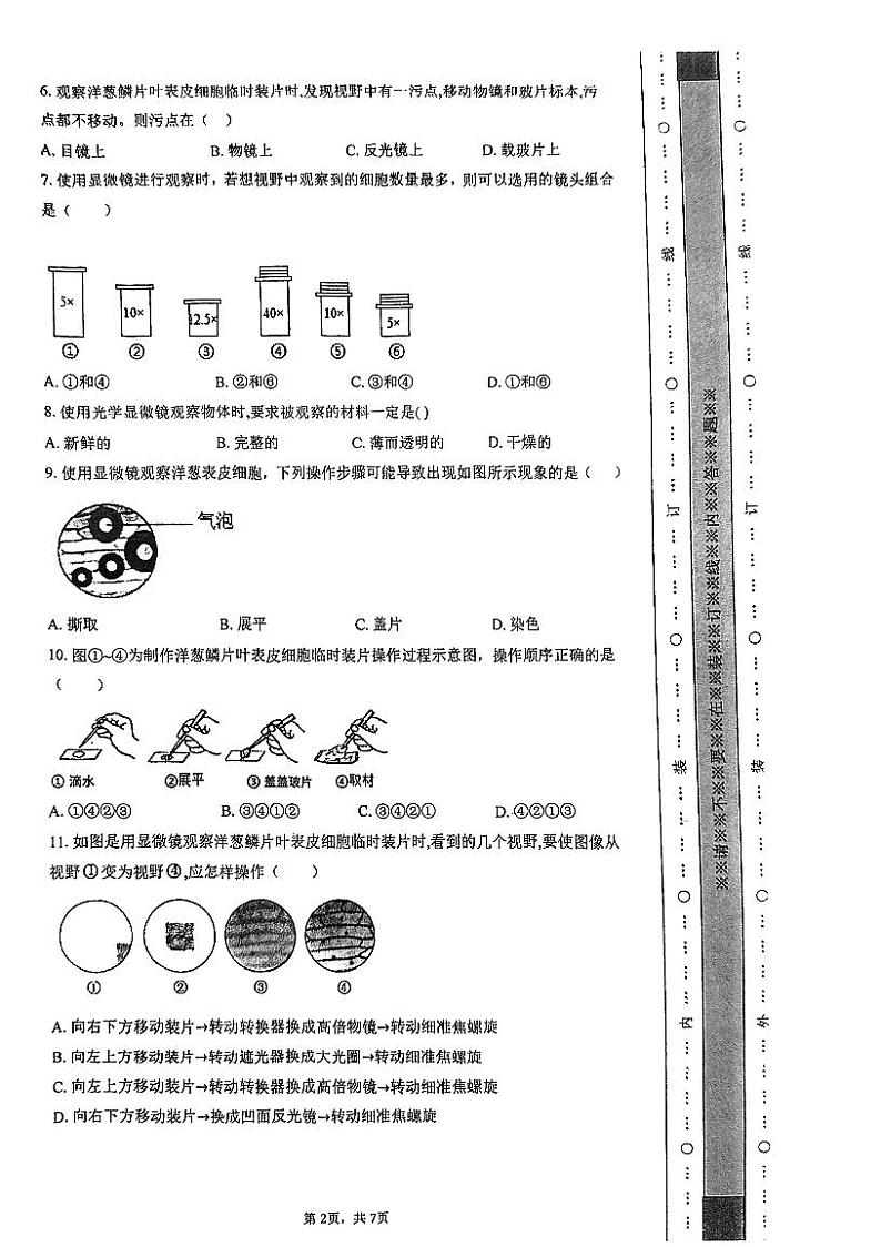 广东省广州市真光中学2024-2025学年七年级上学期10月期中生物试题第2页