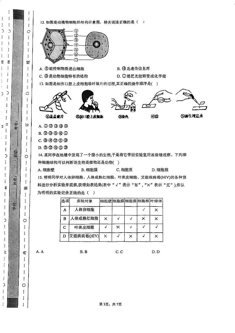 广东省广州市真光中学2024-2025学年七年级上学期10月期中生物试题第3页