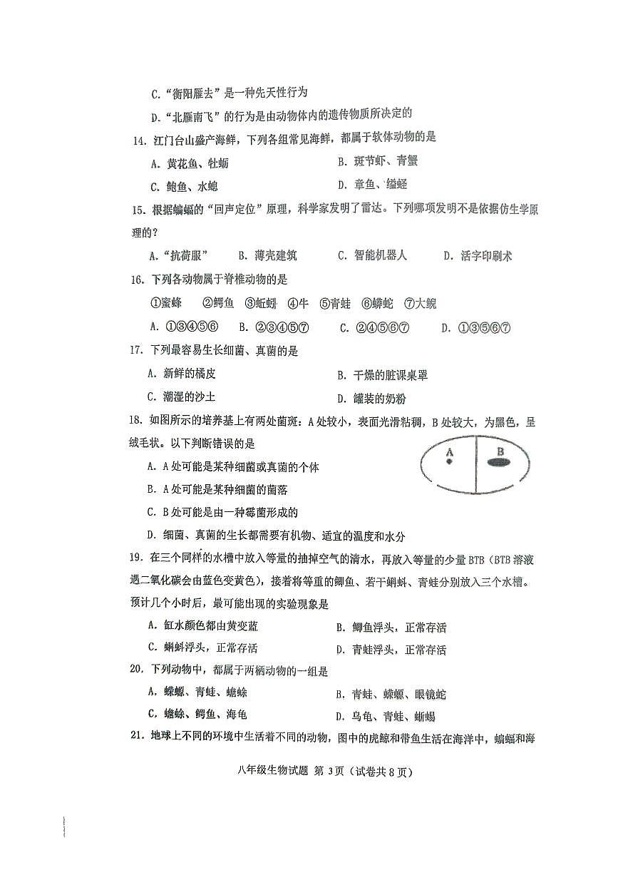 廣東省江門市第二中學(xué)2024-2025學(xué)年八年級上學(xué)期10月期中生物試題第3頁