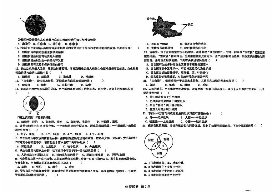 河南省鄭州市二七區(qū)鄭州四中教育集團(tuán)2024-2025學(xué)年七年級(jí)上學(xué)期11月期中生物試題第2頁(yè)