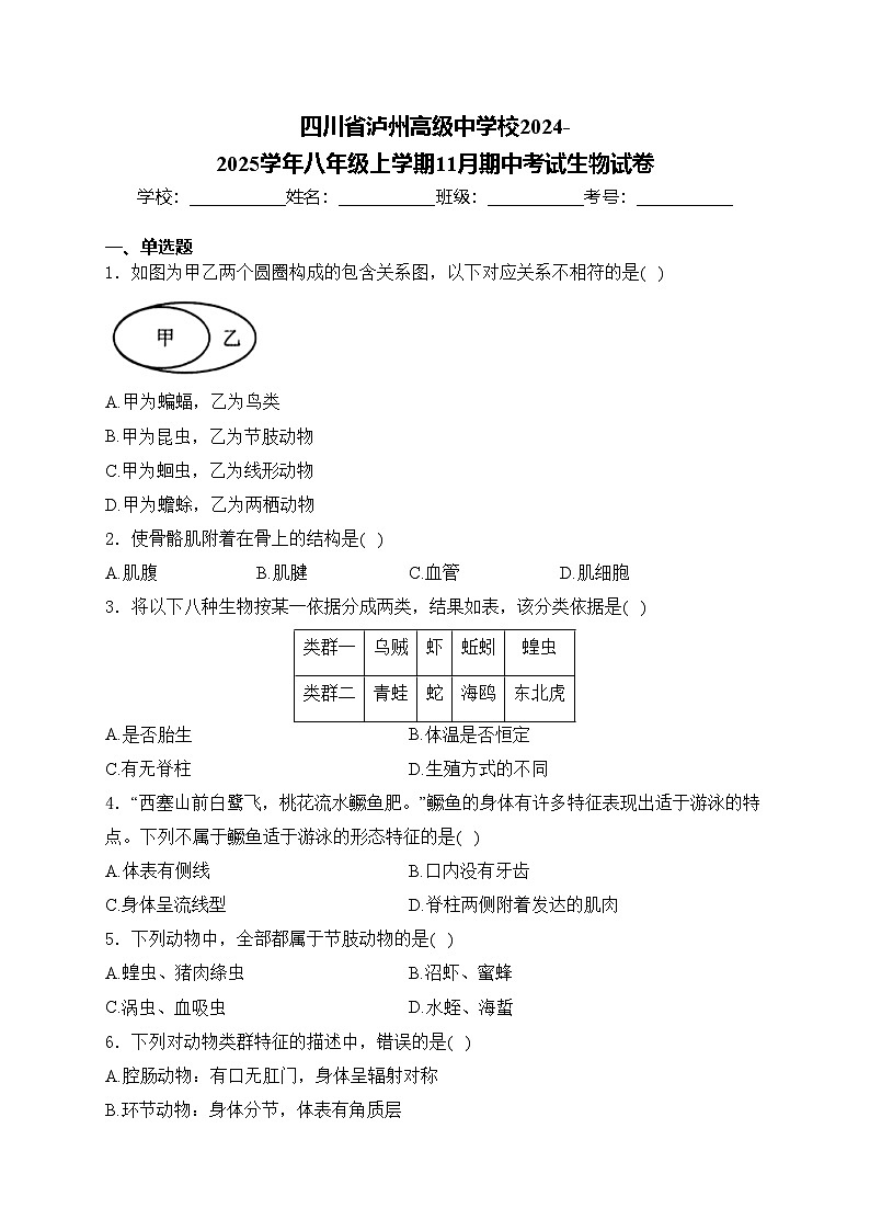 四川省泸州高级中学校2024-2025学年八年级上学期11月期中考试生物试卷(含答案)01