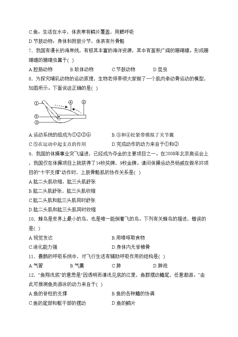 四川省泸州高级中学校2024-2025学年八年级上学期11月期中考试生物试卷(含答案)02