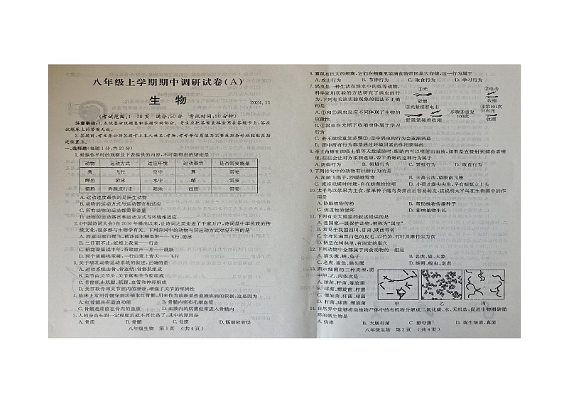 河南省安阳市滑县师达学校2024-2025学年八年级上学期期中考试生物试卷第1页