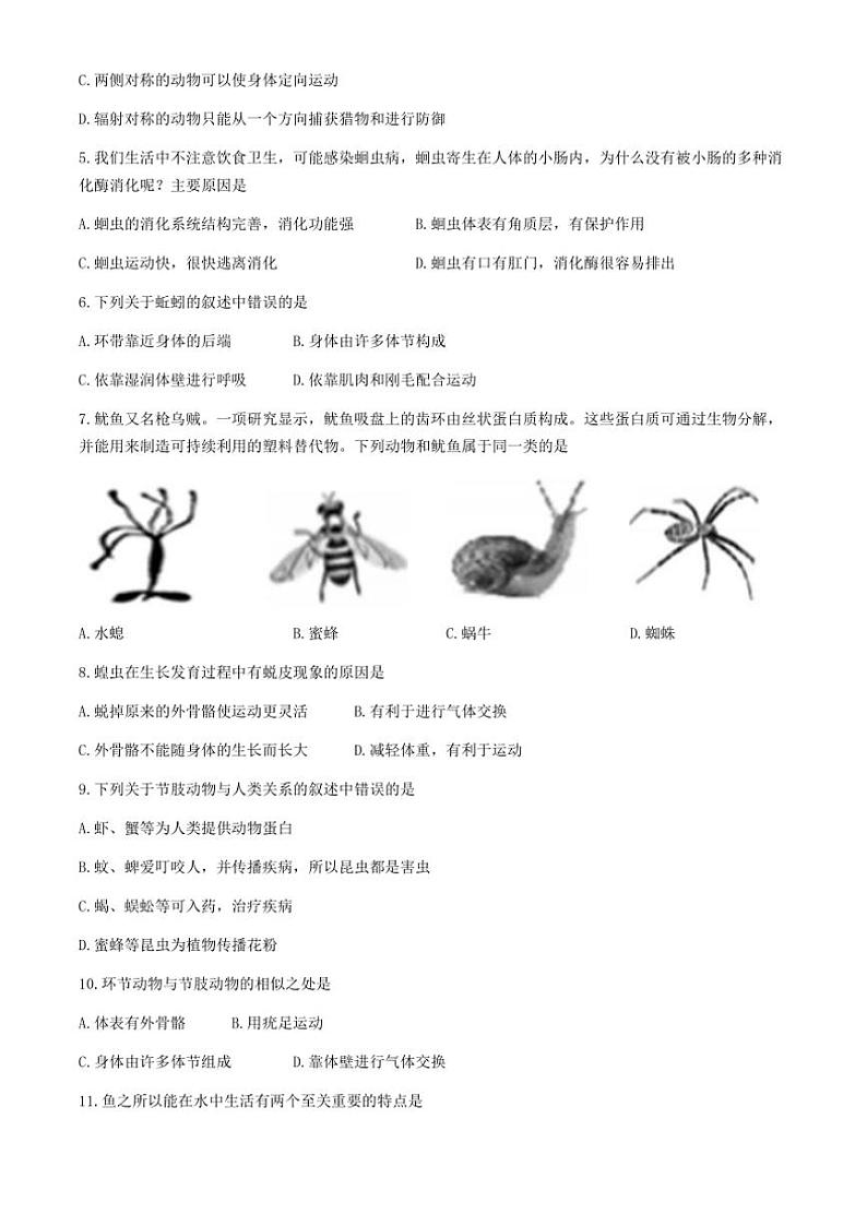 云南省昭通市永善县2024~2025学年八年级(上)期中生物试卷(含答案)第2页
