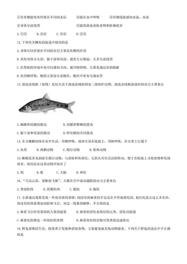云南省昭通市永善县2024~2025学年八年级(上)期中生物试卷(含答案)第3页