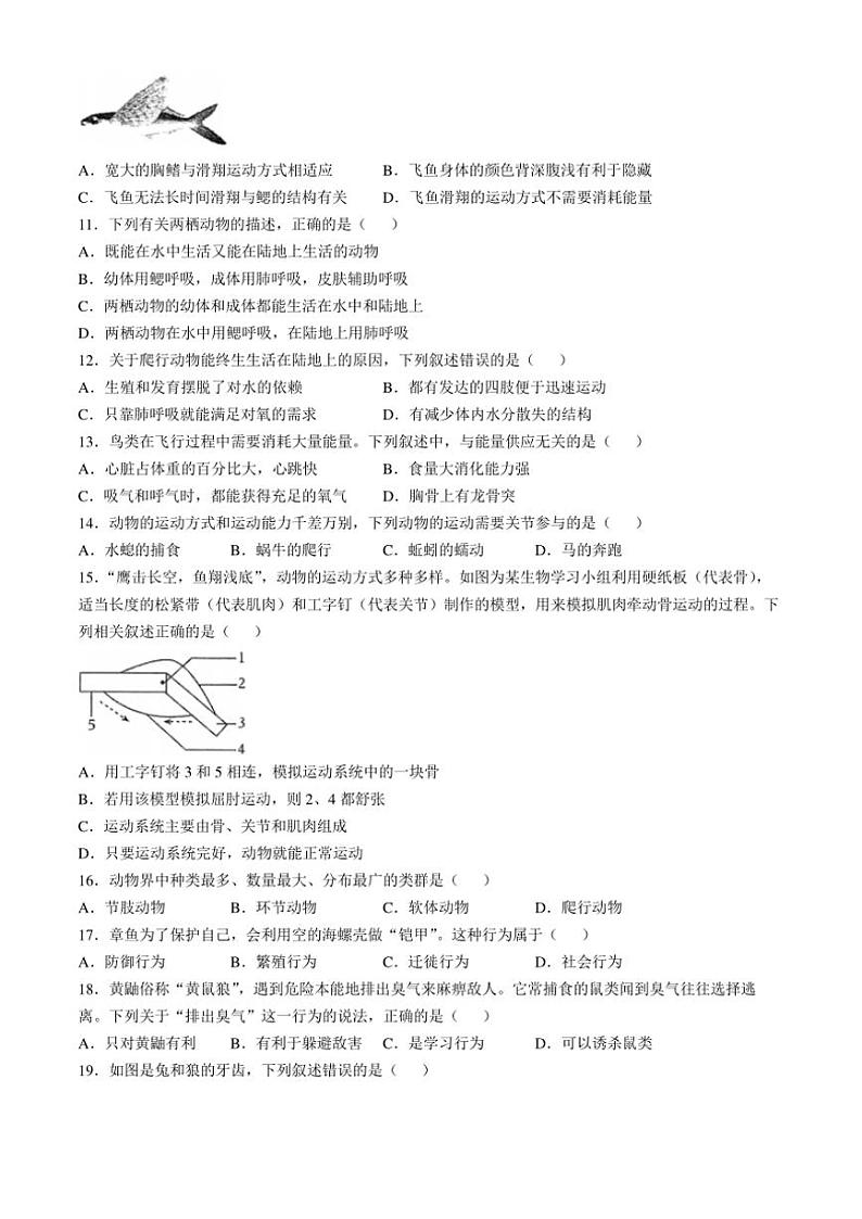 福建省福州市第十九中学2024~2025学年八年级(上)期中生物试卷(含答案)第2页