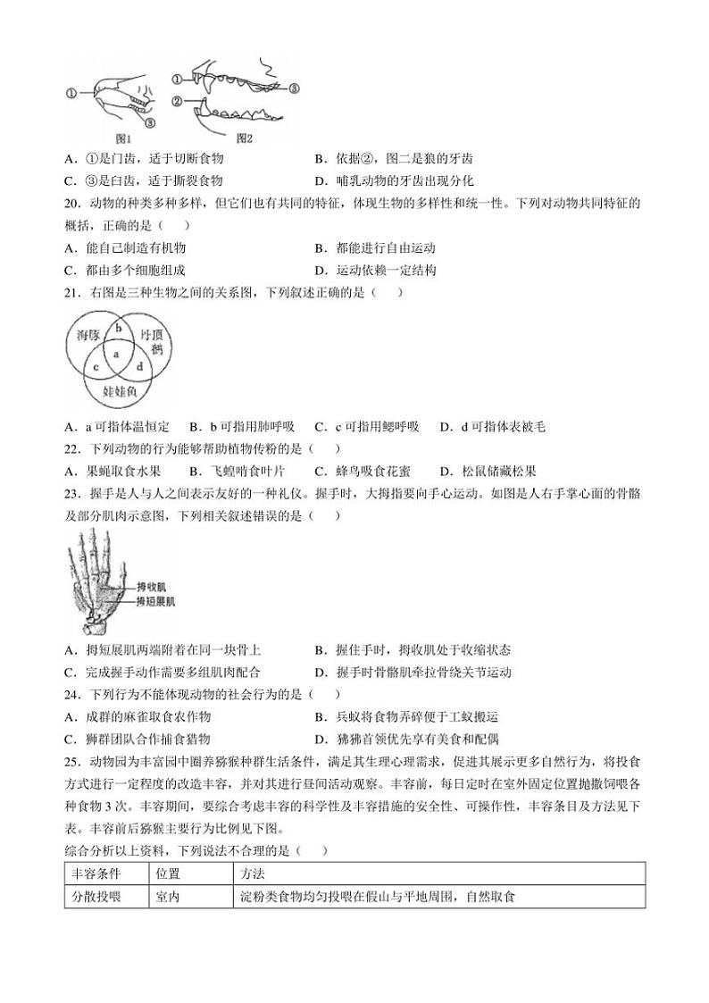 福建省福州市第十九中学2024~2025学年八年级(上)期中生物试卷(含答案)第3页