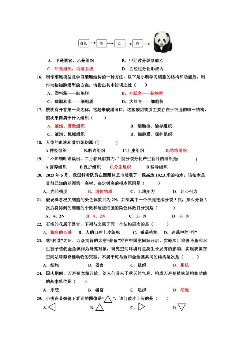 广东省肇庆市封开县广信中学2024~2025学年七年级(上)期中生物试卷(含答案)第3页