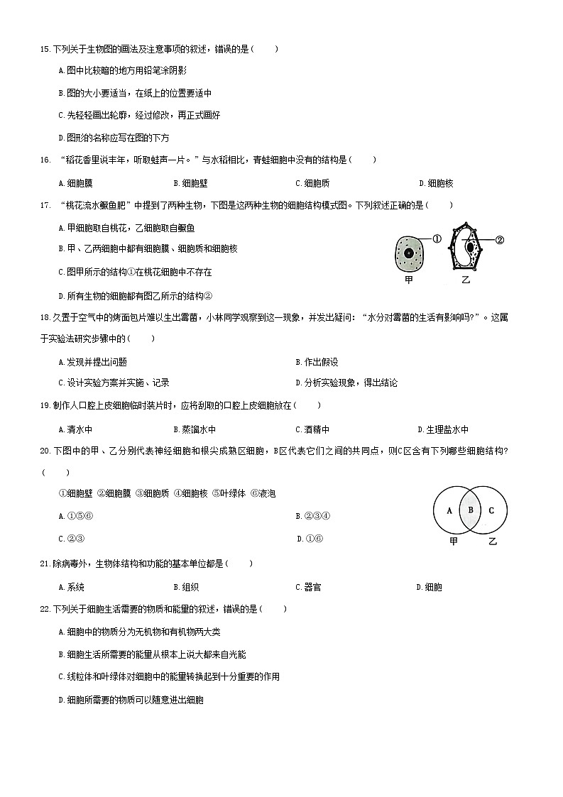 广东省梅州市兴宁市宋声学校2024-2025学年七年级上学期11月期中生物试题第3页