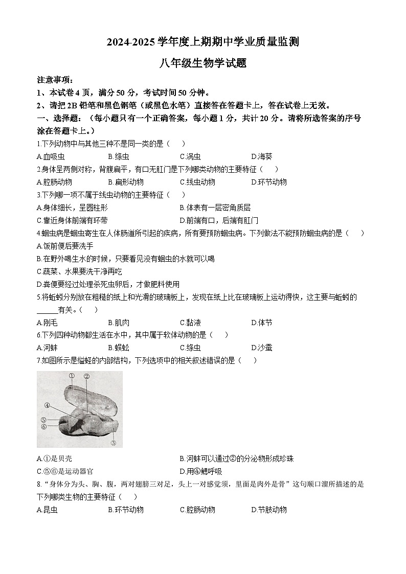 河南省漯河市临颍县2024-2025学年八年级上学期期中生物试题第1页