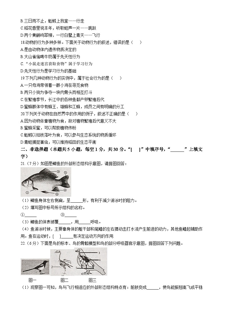 河南省漯河市临颍县2024-2025学年八年级上学期期中生物试题第3页