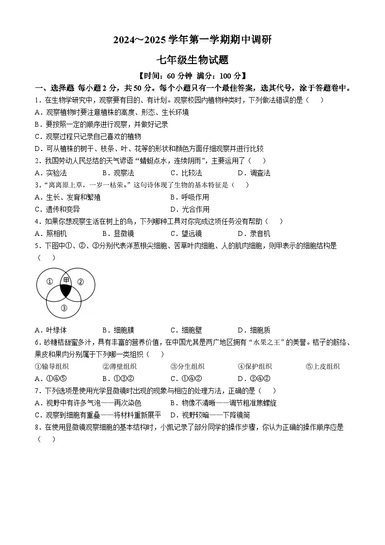 山东省聊城临清市2024-2025学年七年级上学期期中生物试题第1页