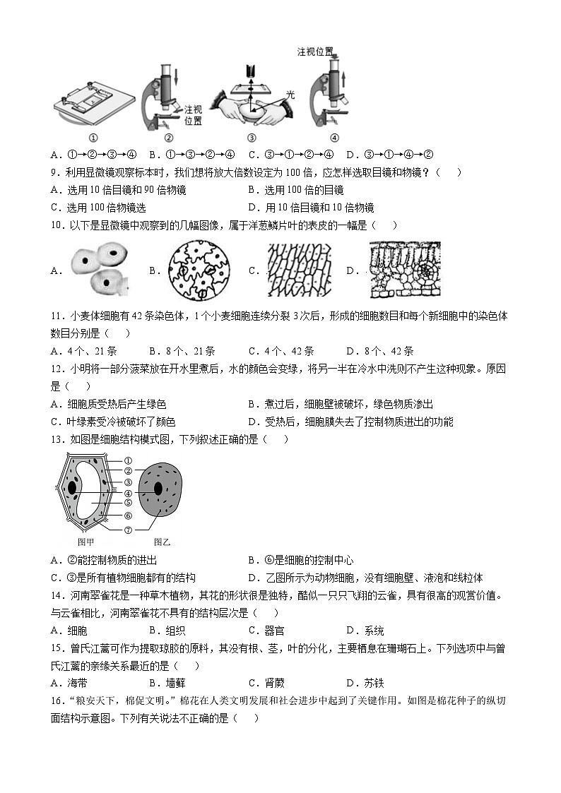 山东省聊城临清市2024-2025学年七年级上学期期中生物试题第2页