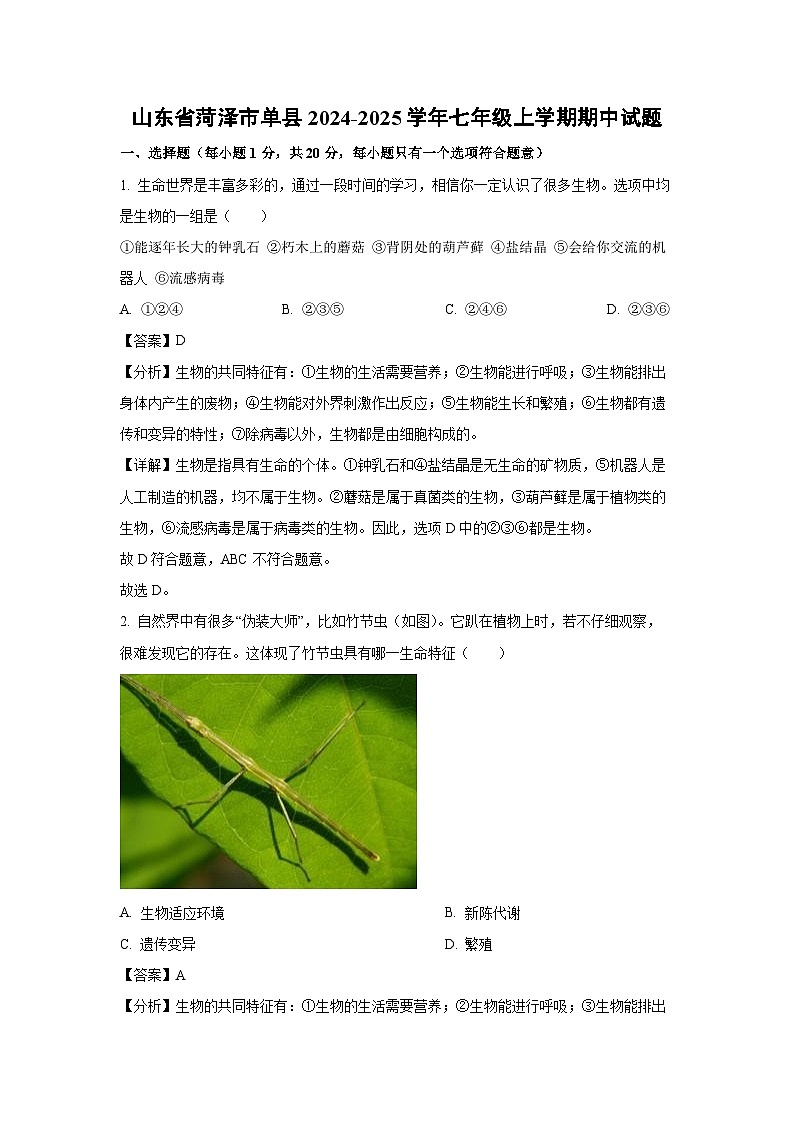 2024-2025学年山东省菏泽市单县七年级(上)期中生物试卷(解析版)第1页