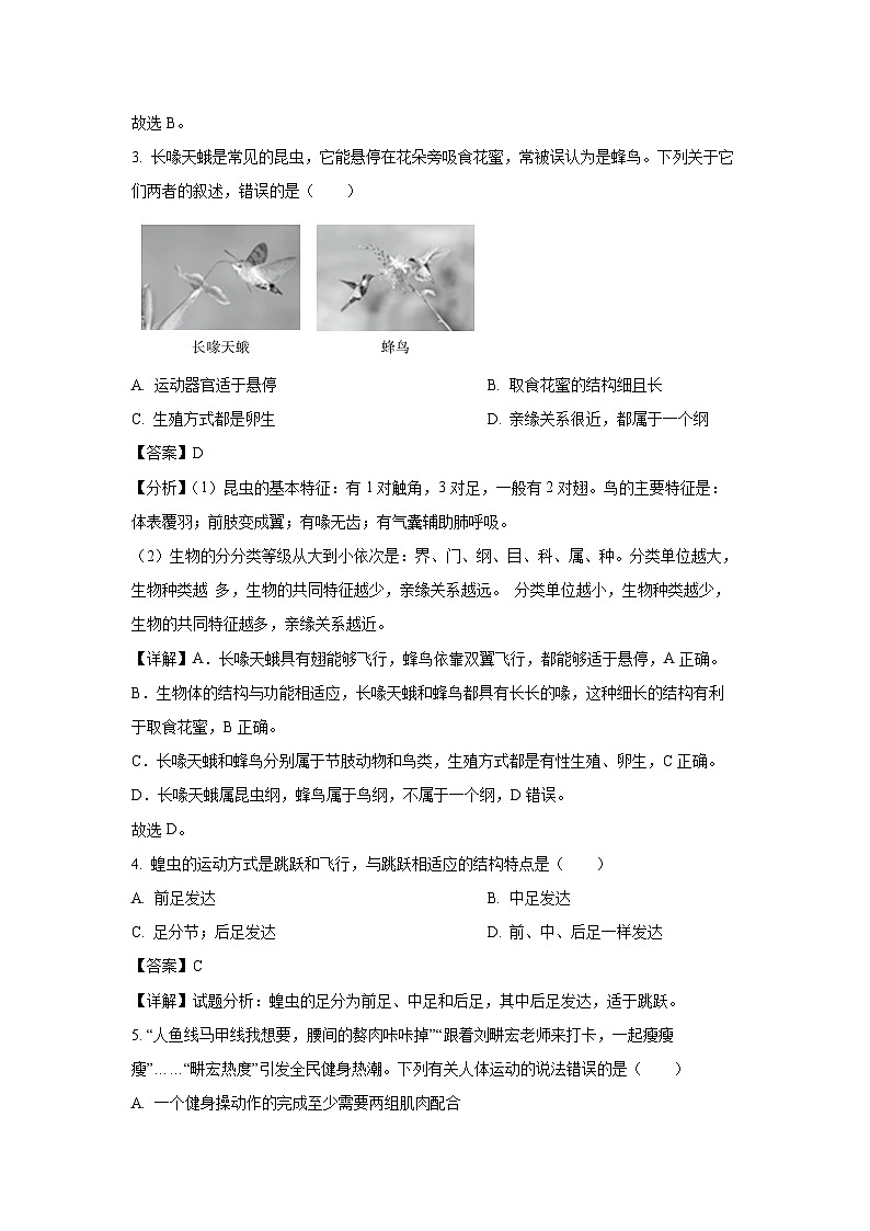 2023-2024学年山东省淄博市淄川区八年级(上)期中生物试卷(解析版)第2页