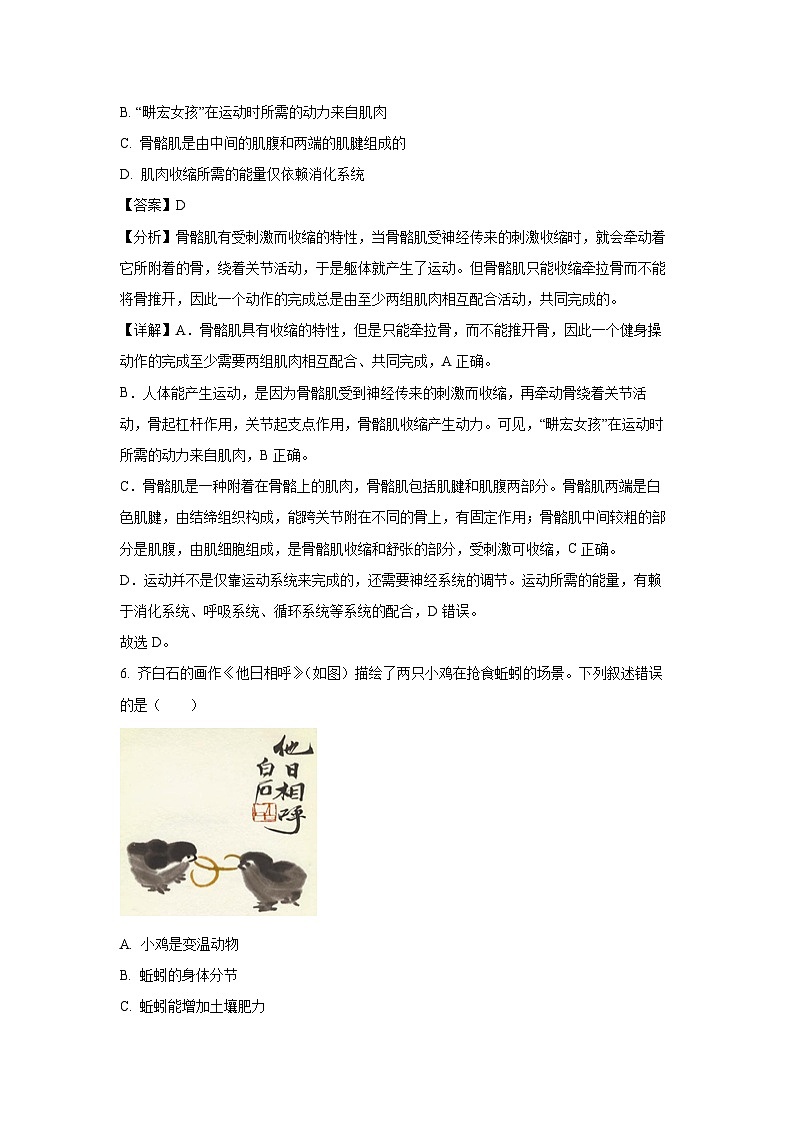 2023-2024学年山东省淄博市淄川区八年级(上)期中生物试卷(解析版)第3页