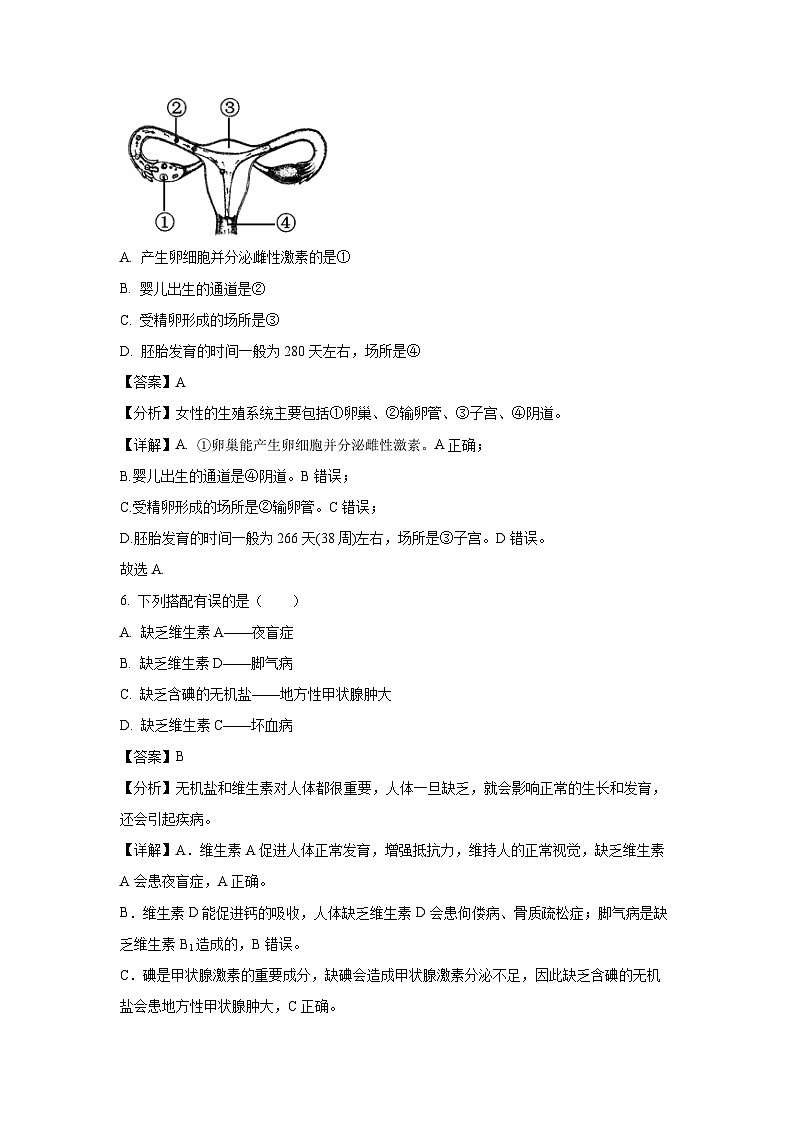 2023-2024学年山东省济南市莱芜区七年级(上)期中生物试卷(解析版)第3页