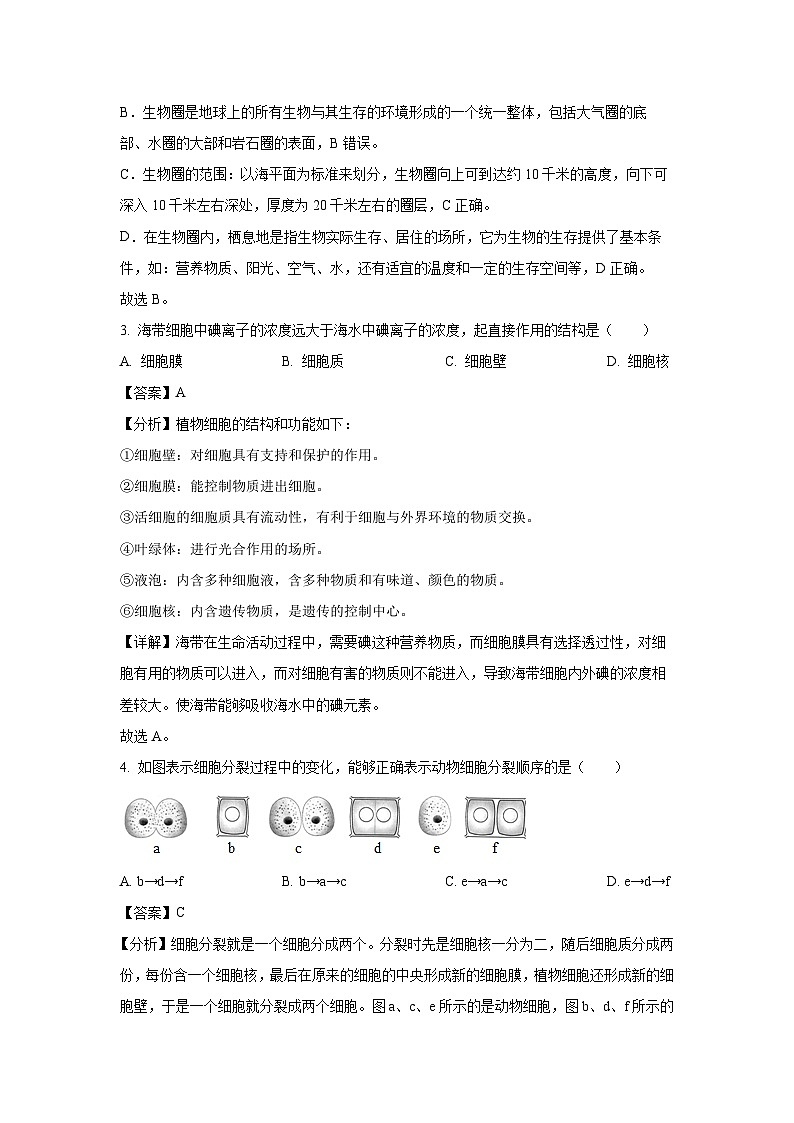 2023-2024學(xué)年山東省德州市平原縣三校聯(lián)考七年級(jí)(上)期中生物試卷（解析版）第2頁(yè)