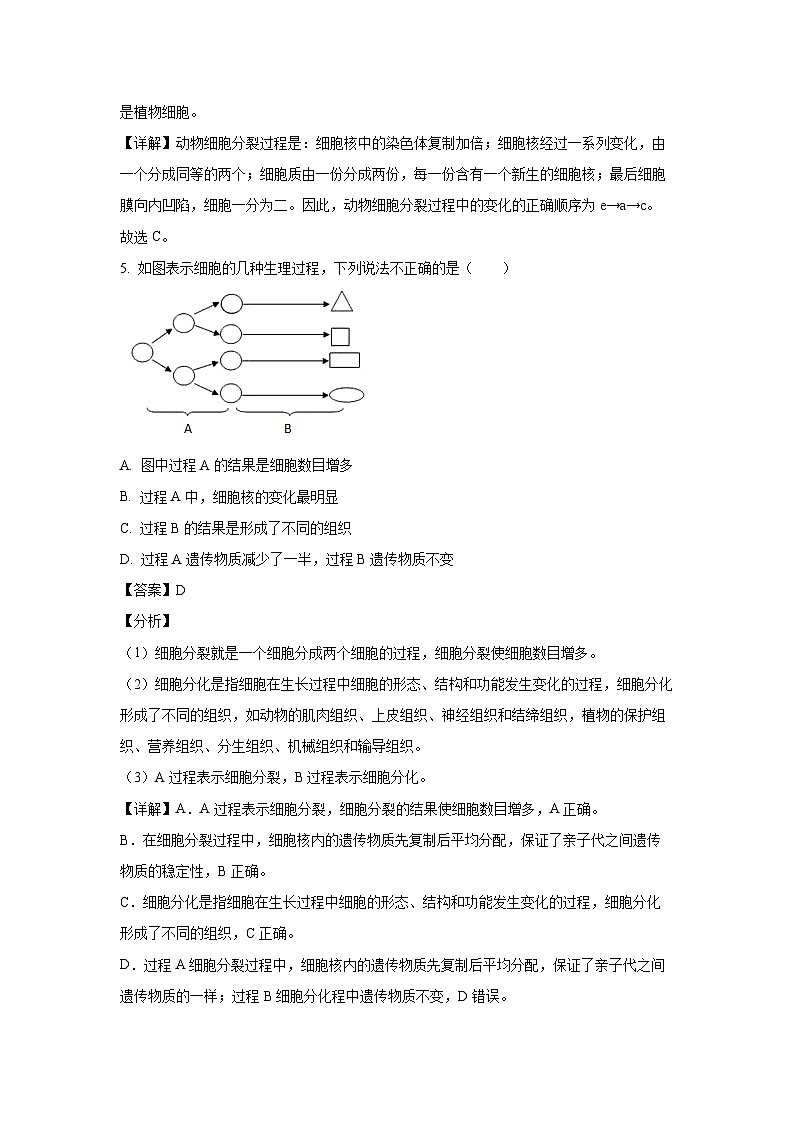 2023-2024學(xué)年山東省德州市平原縣三校聯(lián)考七年級(jí)(上)期中生物試卷（解析版）第3頁(yè)