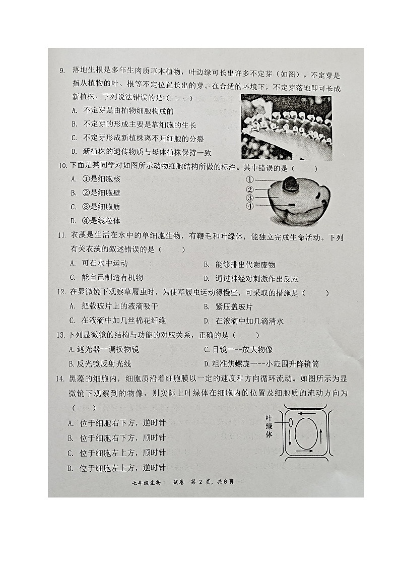 福建省三明市宁化县2024-2025学年七年级上学期期中考试生物试题第2页