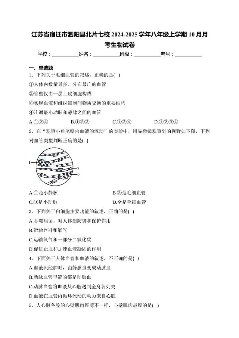 江苏省宿迁市泗阳县北片七校2024~2025学年八年级(上)10月月考生物试卷(含答案)第1页