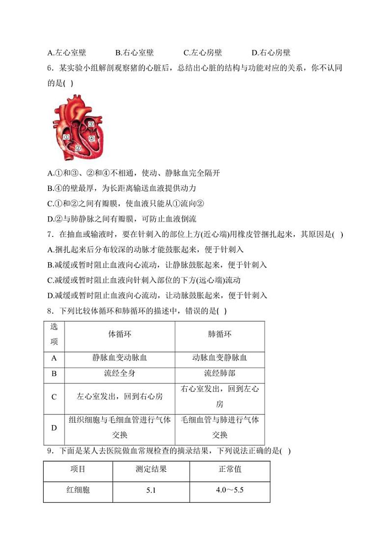 江苏省宿迁市泗阳县北片七校2024~2025学年八年级(上)10月月考生物试卷(含答案)第2页