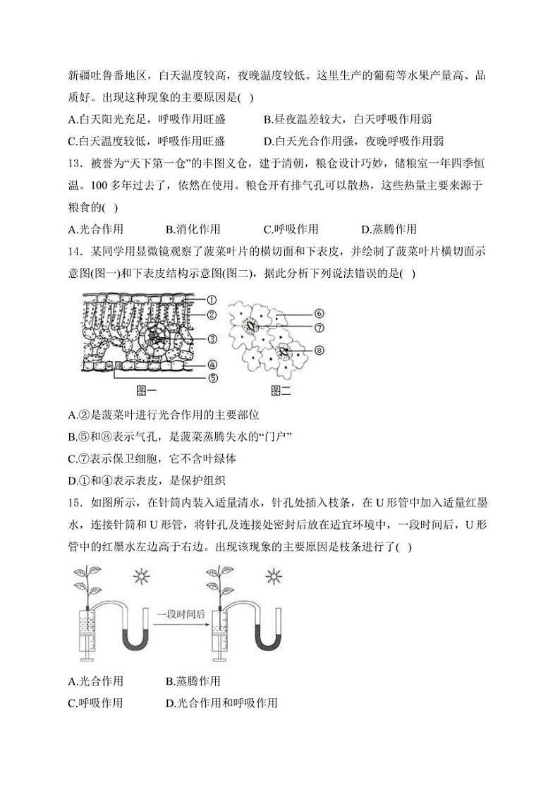 重庆市江津第二中学十校联考2024~2025学年八年级(上)期中测试生物试卷(含答案)第3页