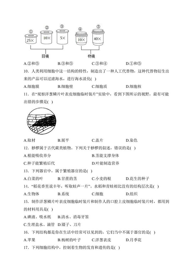 重庆市江津区第二中学十校联考2024~2025学年七年级(上)期中测试生物试卷(含答案)第2页